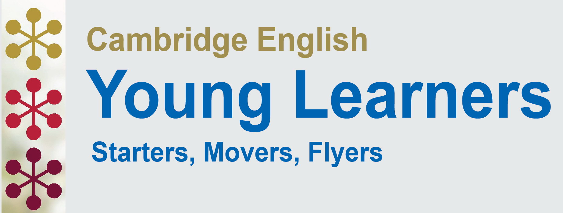 Cambridge English Flyers